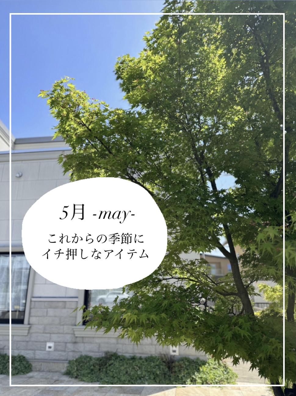 オススメ／5月／初夏／扇風機／ハンディ―ファン／風鈴／夏のインテリア／ガラス食器／クレエ／涼／あったら嬉しい／津山市／津山のお出かけスポット／岡山お出かけ／津山／岡山／雑貨屋