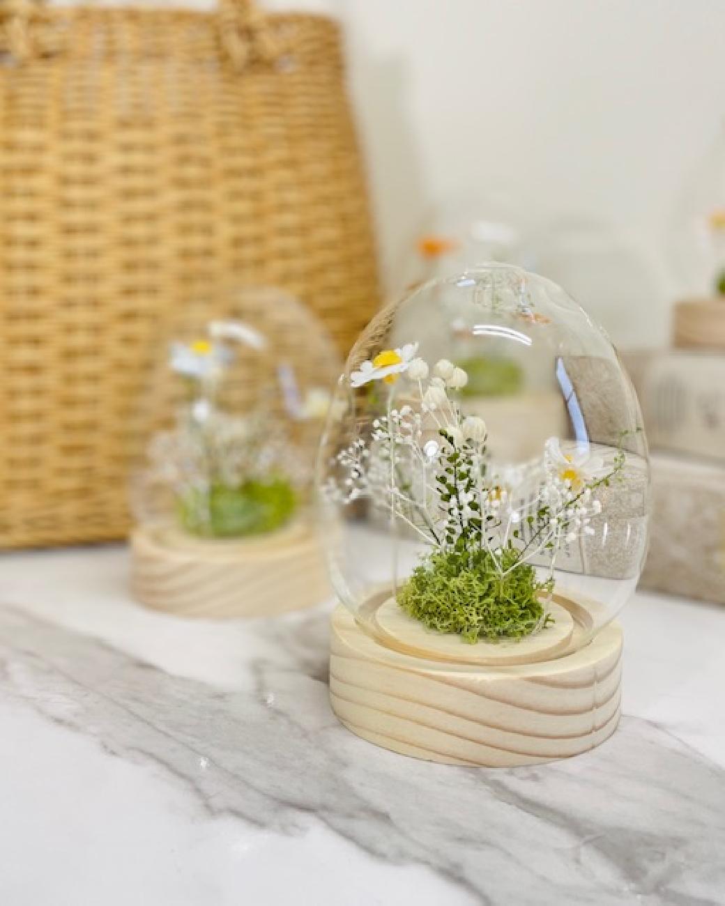 ガラスドーム／飾り／インテリア／フラワードーム／大人可愛い／春／年中飾れる／LED／ライト／癒し／オブジェ／置物／おすすめ／ギフト／贈り物／津山／岡山／雑貨屋