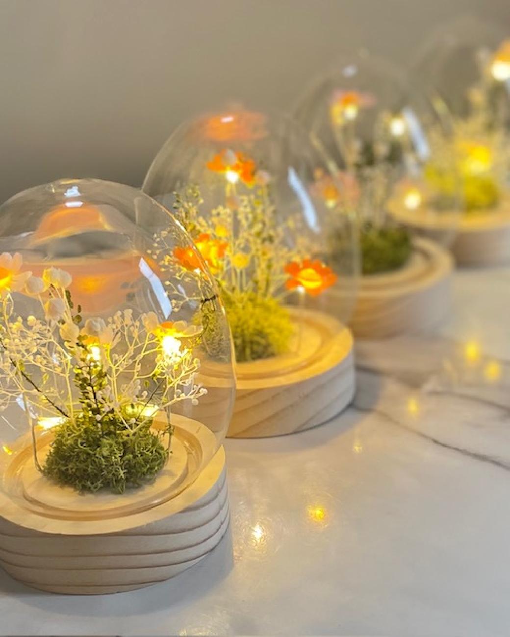 ガラスドーム／飾り／インテリア／フラワードーム／大人可愛い／春／年中飾れる／LED／ライト／癒し／オブジェ／置物／おすすめ／ギフト／贈り物／津山／岡山／雑貨屋