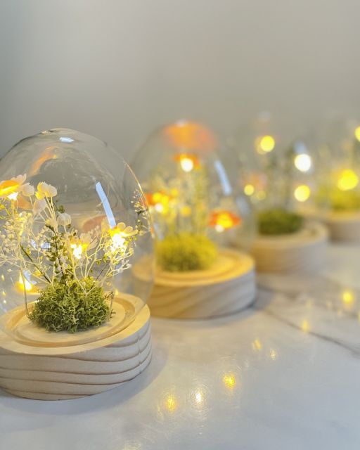 朝／夕／習慣／整える／雑貨／習慣作り／ほっとする／自分時間／落ち着く／リラックス／癒し／津山／岡山／雑貨屋