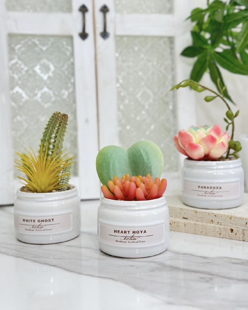 アーティフィシャルグリーン／飾り／お手入れ不要／水やりいらず／消臭／抗菌／インテリア／サボテン／フェイクグリーン／津山／岡山／雑貨屋