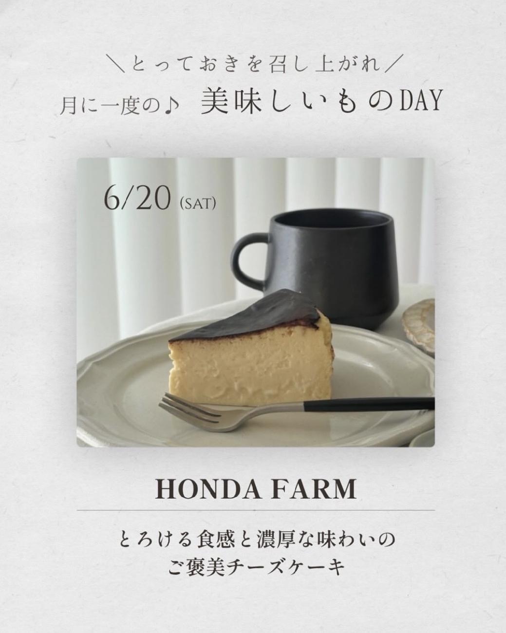 チーズケーキ／大人気／美味しいもの／手作り／特別おやつ／津山／岡山／雑貨屋